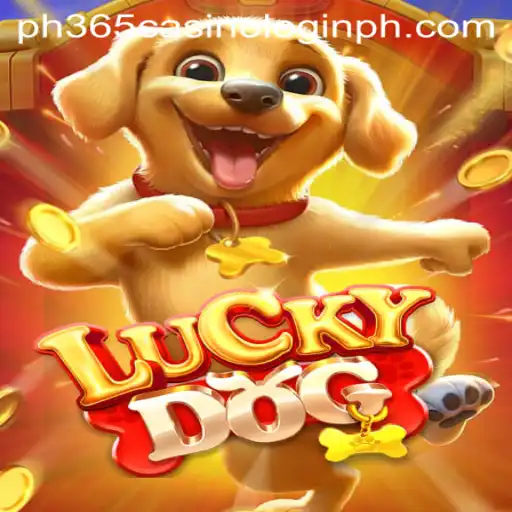 LuckyDog Game: Unleashing Fun with PH365 Casino Login